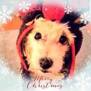 Meet your Posher, Sabrina